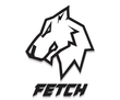 Fetch Miami
